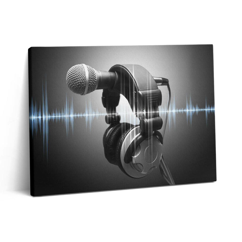 Pictură pe pânză 80x60 Microfon și căști