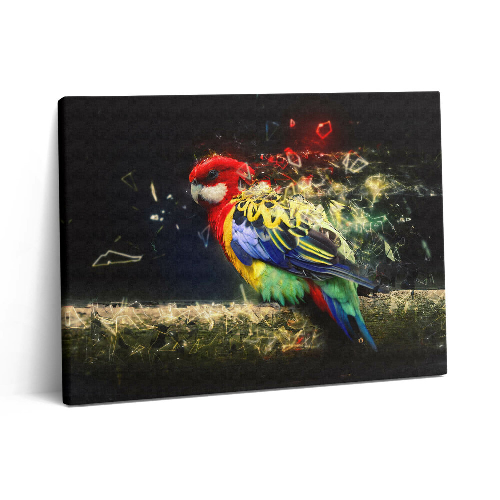 Pictură pe pânză 80x60 Abstracție de papagal