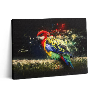 Pictură pe pânză 80x60 Abstracție de papagal