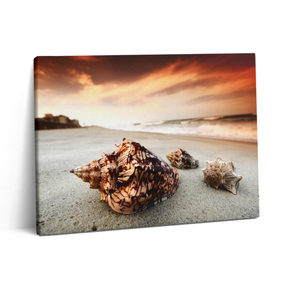 Pictură pe pânză 80x60 Scoici pe plajă