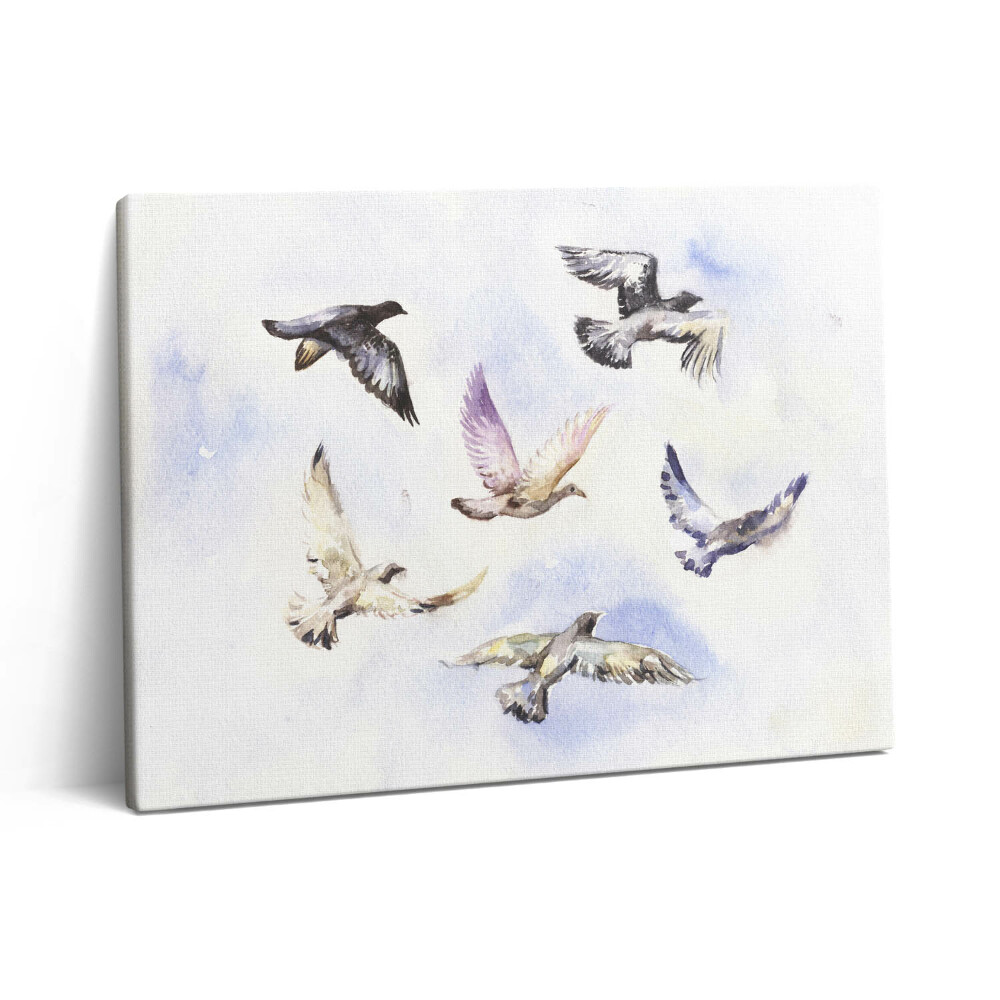 Pictură pe pânză 80x60 Păsări care zboară