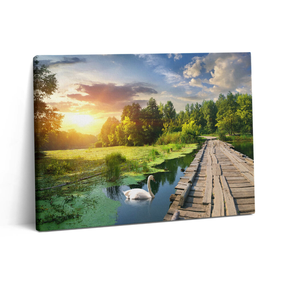 Pictură pe pânză 80x60 Lebădă la apus