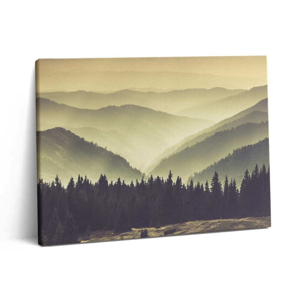 Pictură pe pânză 80x60 Pante muntoase încețoșate