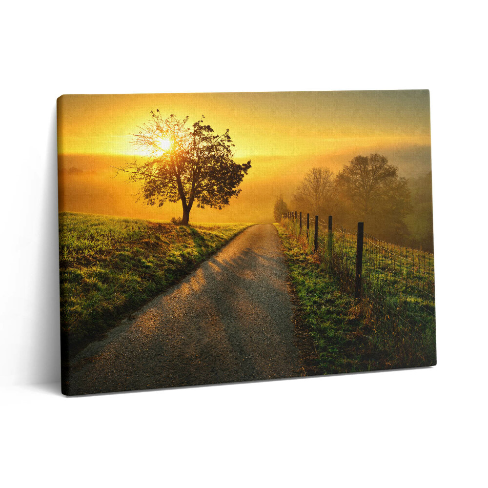 Pictură pe pânză 80x60 Ceață la răsărit