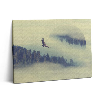 Pictură pe pânză 80x60 Pădure încețoșată și vultur