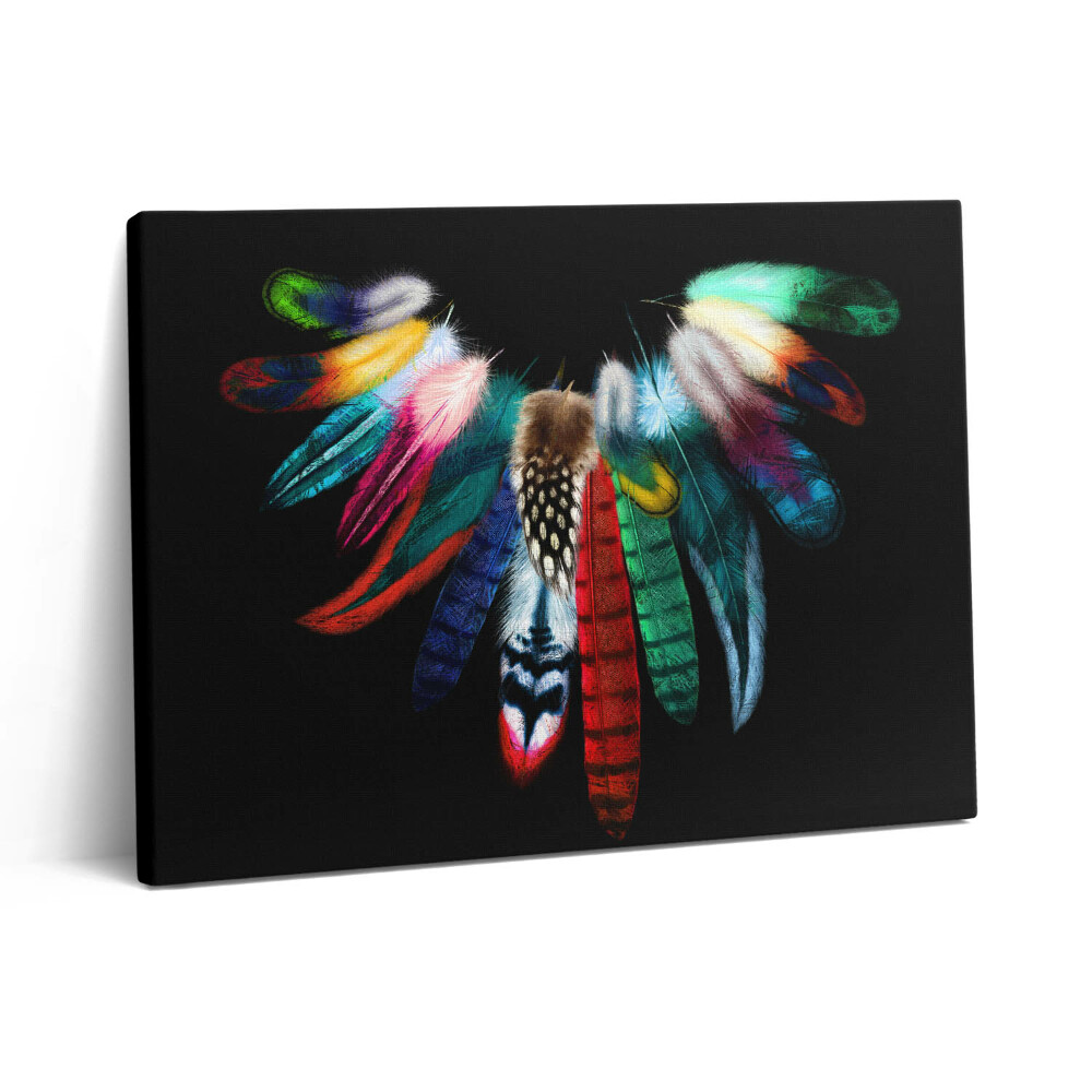 Pictură pe pânză 80x60 Pene de pasăre colorate