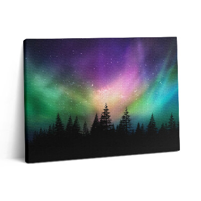 Pictură pe pânză 80x60 Aurora boreală