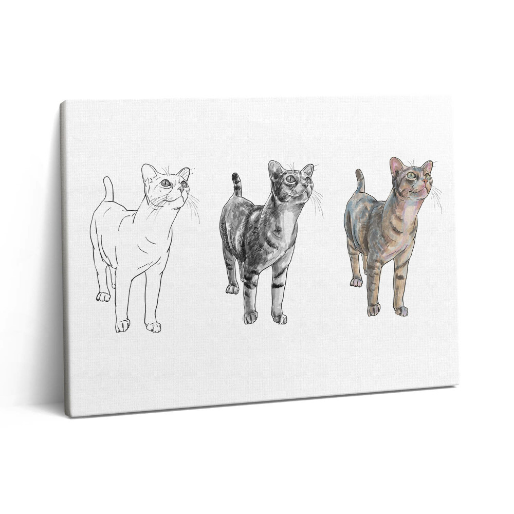 Pictură pe pânză 80x60 Ilustrație a unei pisici drăguțe și curioase