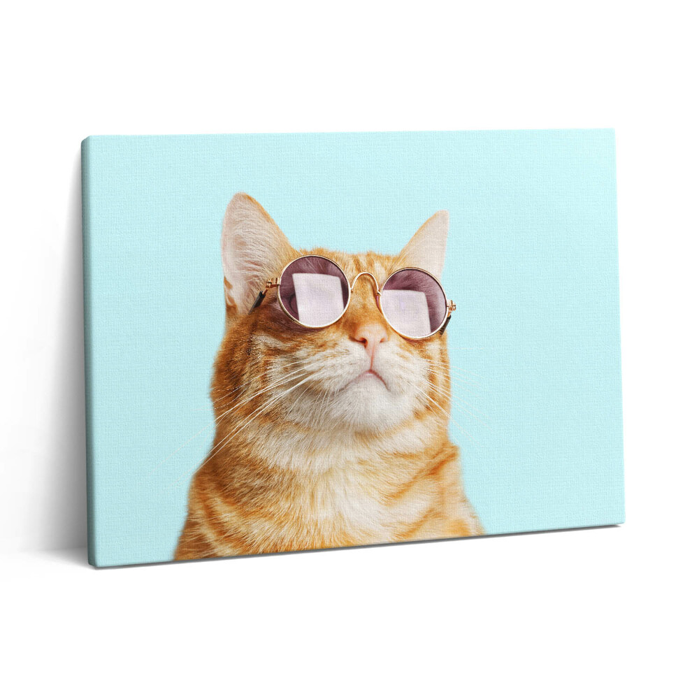 Pictură pe pânză 80x60 Pisică amuzantă cu ochelari