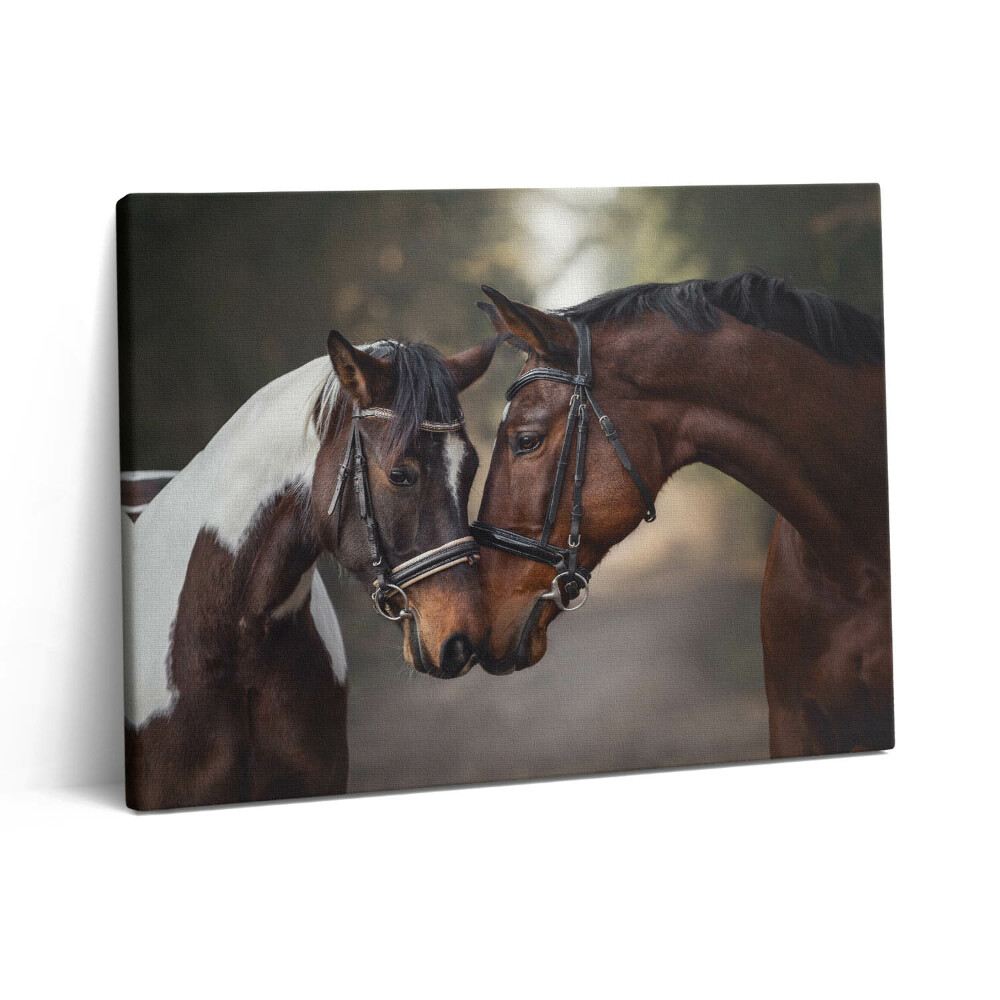 Pictură pe pânză 80x60 Portret de cai în pădure