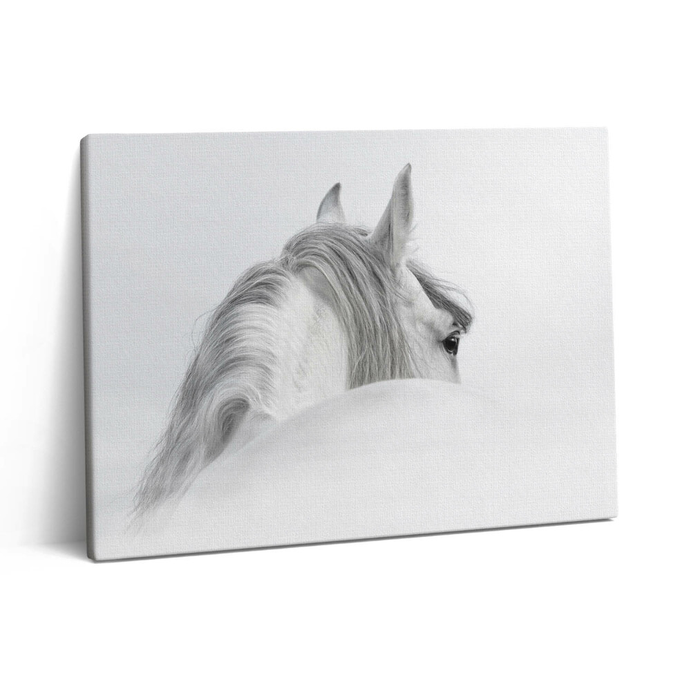 Pictură pe pânză 80x60 Cal andaluz în ceață