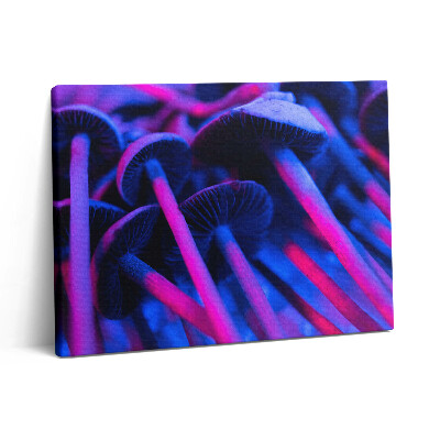 Pictură pe pânză 80x60 Ciuperci magice colorate