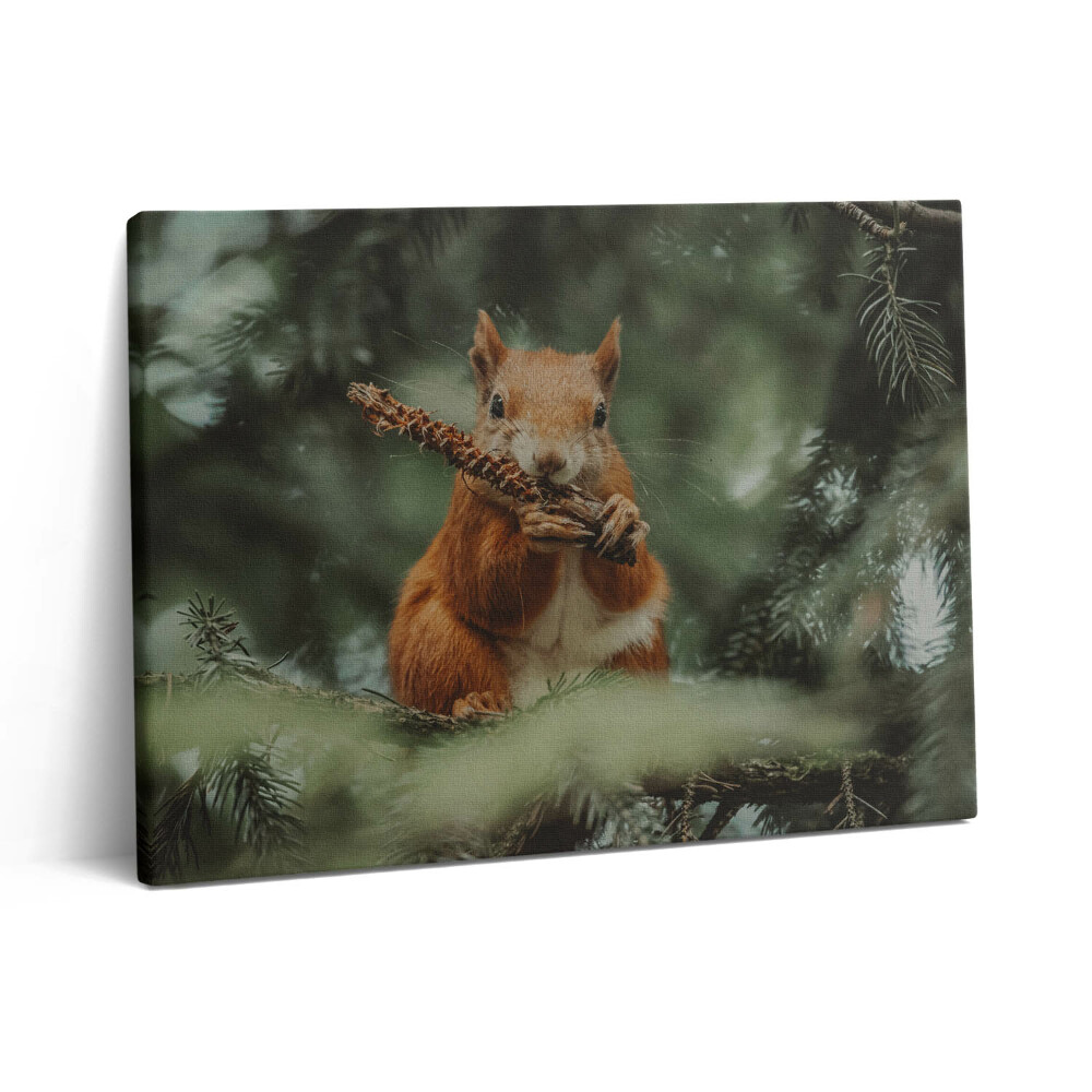 Pictură pe pânză 80x60 Veveriță sălbatică din natură