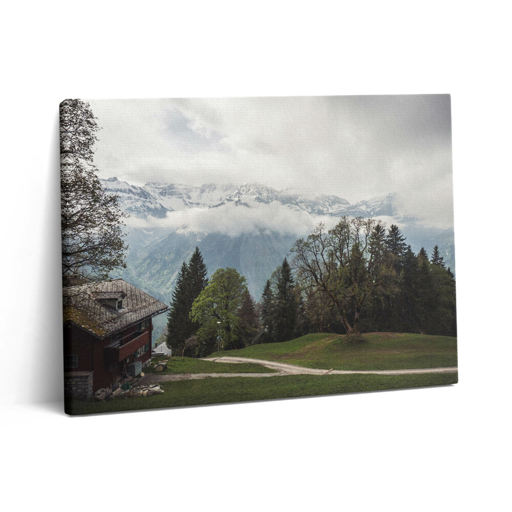 Pictură pe pânză 80x60 Vedere pitorească a munților