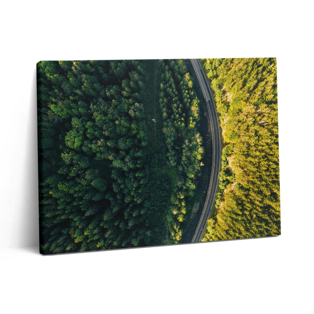 Pictură pe pânză 80x60 Pădurea dintr-o dronă - Muntele Śnieżka