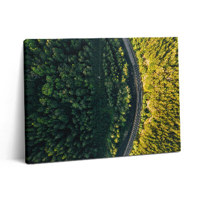 Pictură pe pânză 80x60 Pădurea dintr-o dronă - Muntele Śnieżka