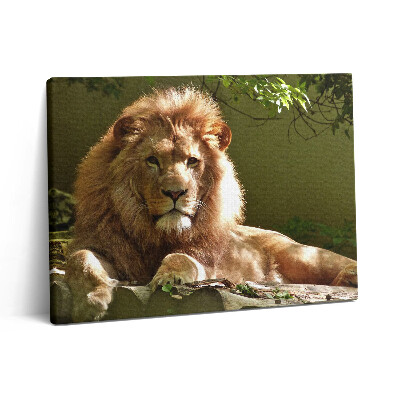 Pictură pe pânză 80x60 Portretul unui leu sălbatic