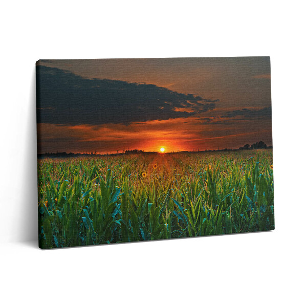 Pictură pe pânză 80x60 Floarea-soarelui în pajiște