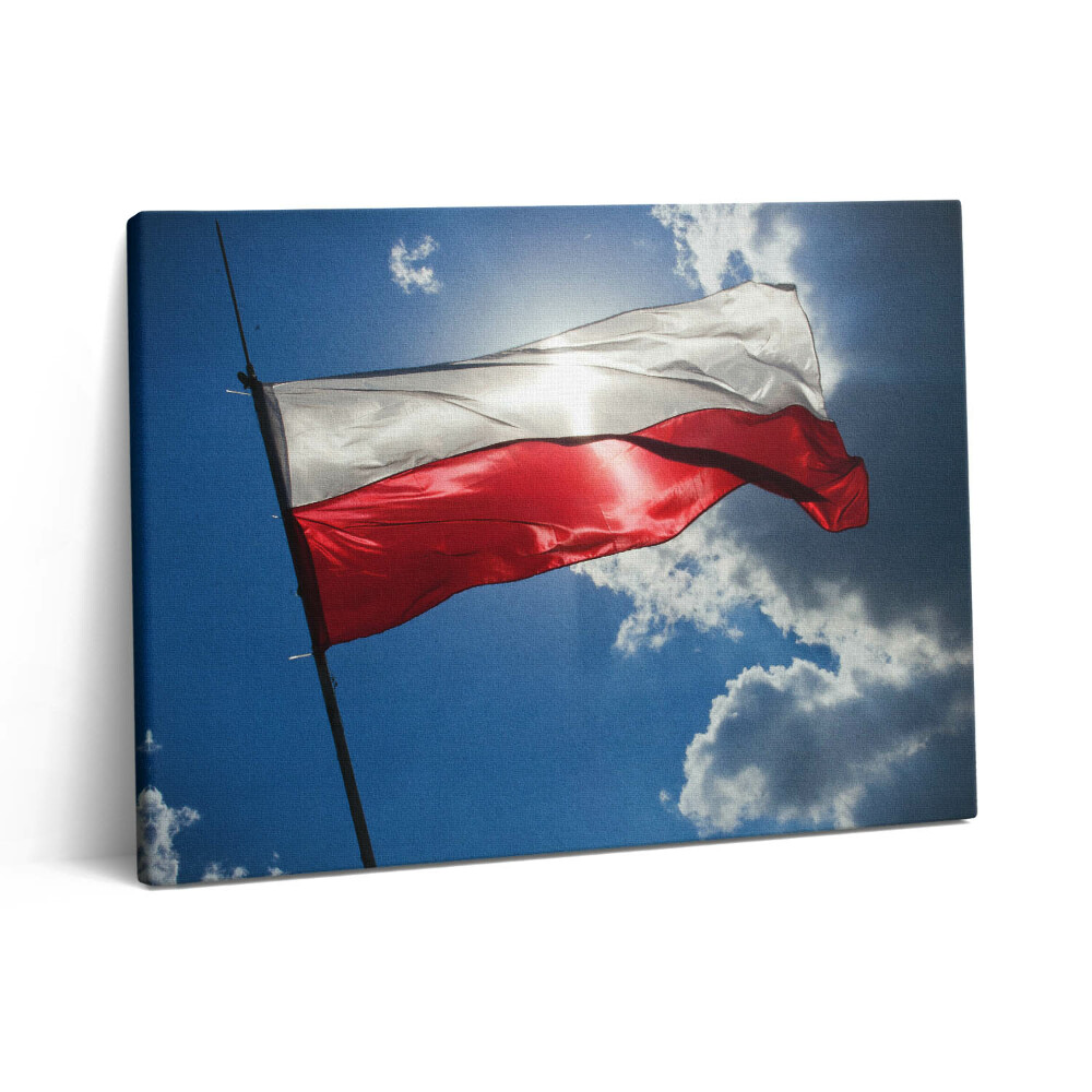 Pictură pe pânză 80x60 Steagul Poloniei pe cer