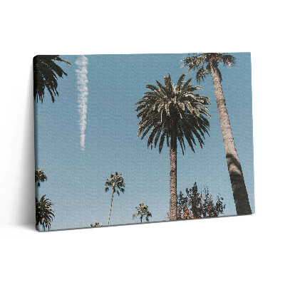 Pictură pe pânză 80x60 Palmieri în Los Angeles