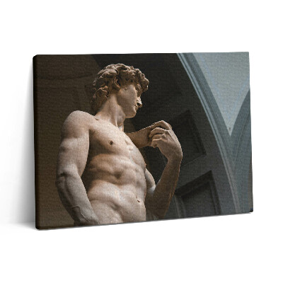 Pictură pe pânză 80x60 Sculptura lui David - Michelangelo