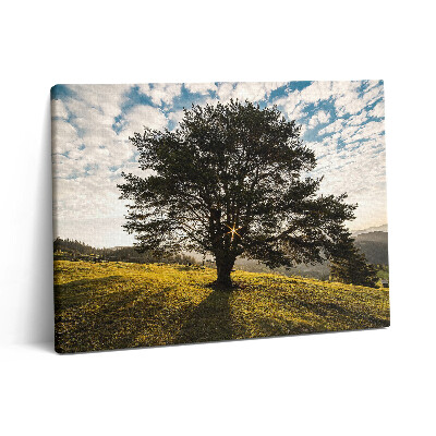 Pictură pe pânză 80x60 Un copac cu frunze pe un deal