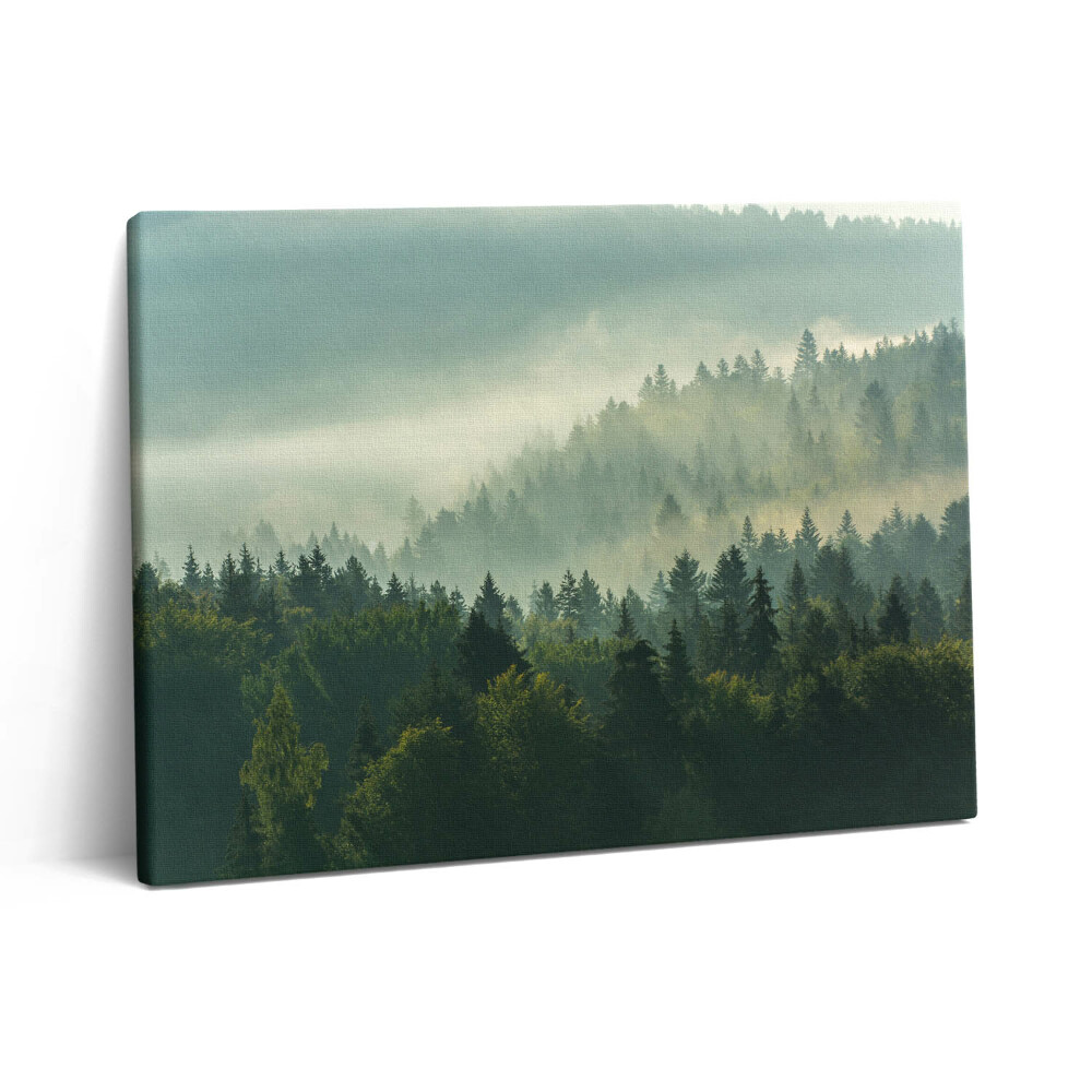 Pictură pe pânză 80x60 Munții Beskid la răsărit