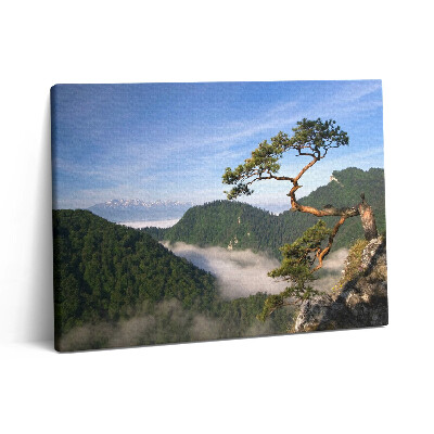 Pictură pe pânză 80x60 Vârful Sokolica din Munții Pieniny