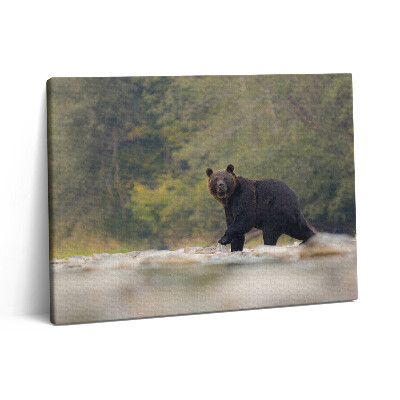 Pictură pe pânză 80x60 Urs în Munții Bieszczady