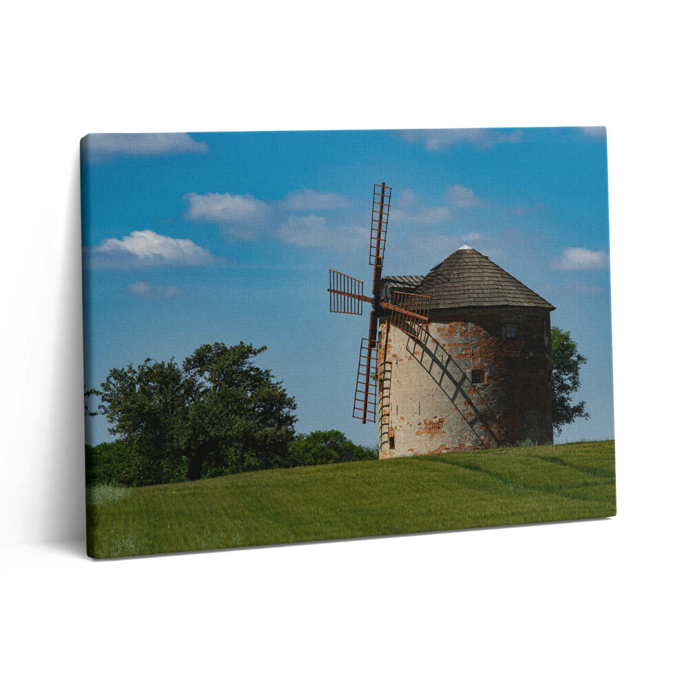 Pictură pe pânză 80x60 Moară de vânt în Moravia