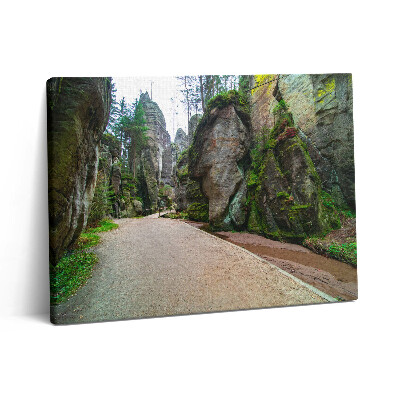 Pictură pe pânză 80x60 Orașul rock din Republica Cehă