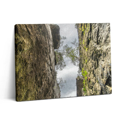 Pictură pe pânză 80x60 Orașul rock din Republica Cehă