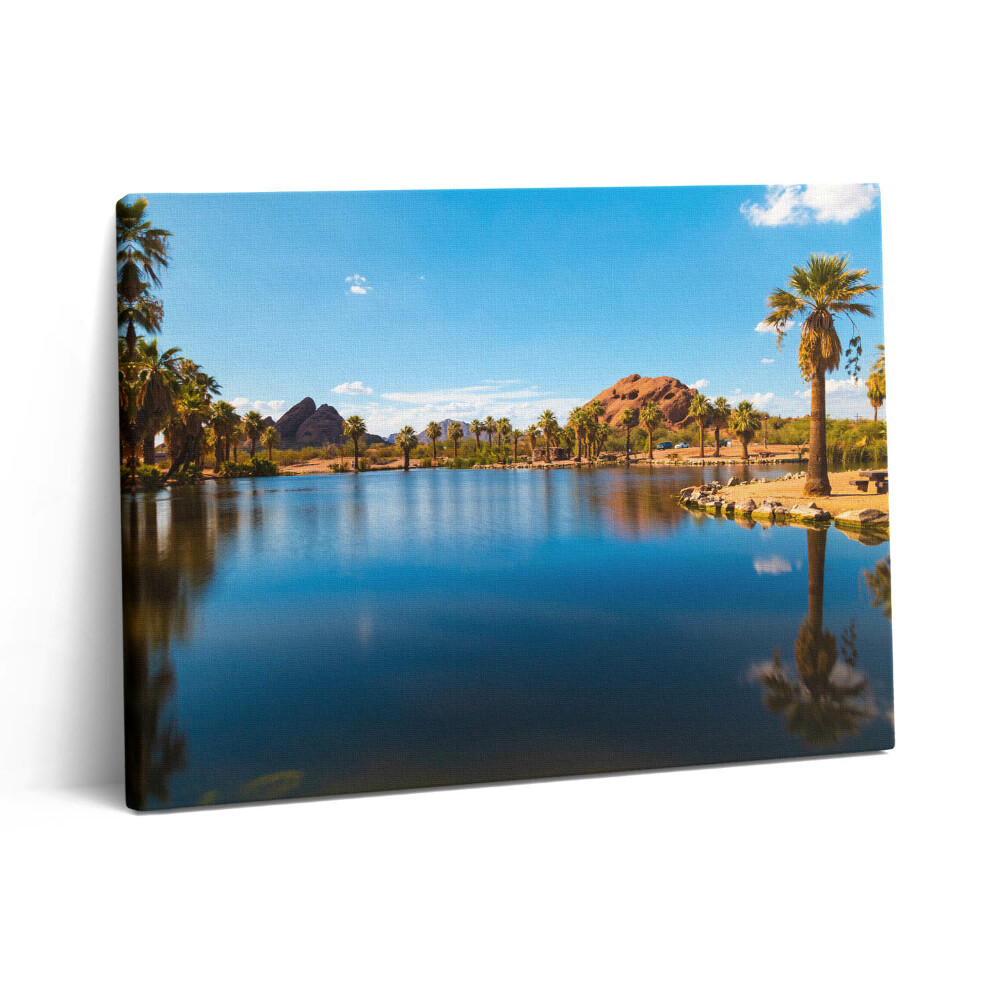 Pictură pe pânză 80x60 Peisajul parcului Papago