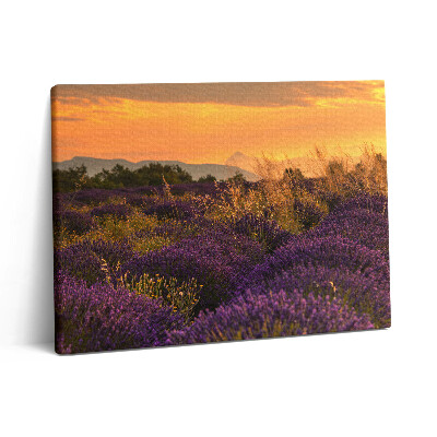 Pictură pe pânză 80x60 Pajiște de lavandă Provence Franța