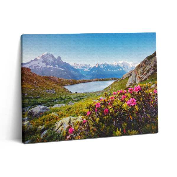 Pictură pe pânză 80x60 Ghețarul Mont Blanc Chamonix