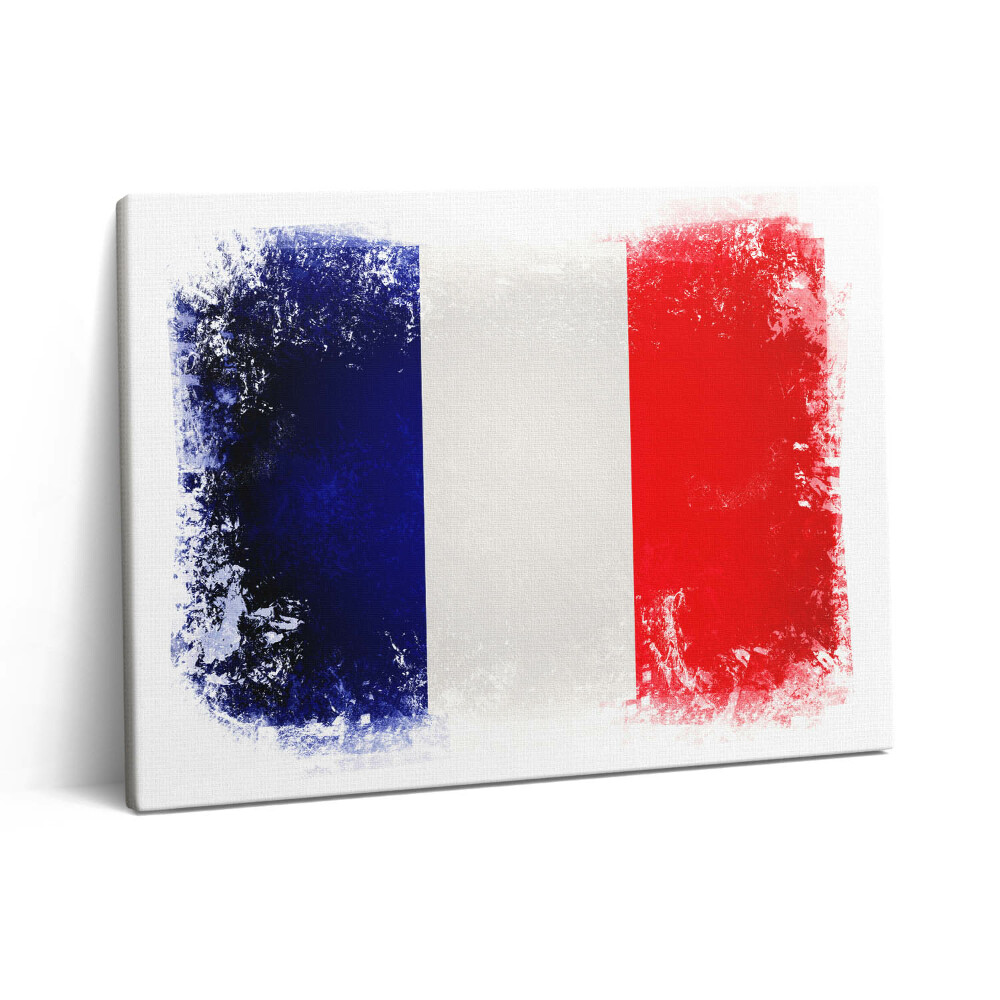 Pictură pe pânză 80x60 Drapelul francez