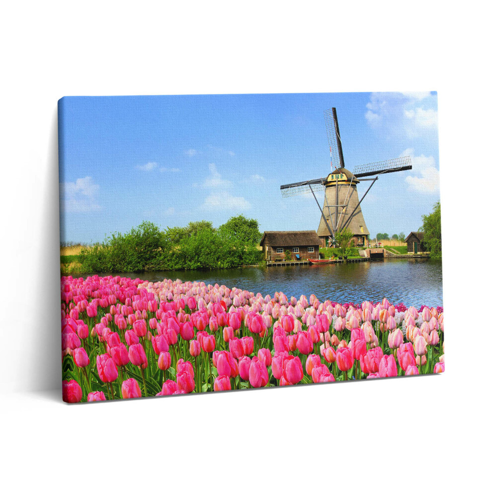 Pictură pe pânză 80x60 Moară de vânt olandeză cu flori