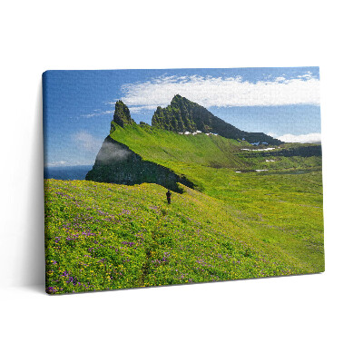Pictură pe pânză 80x60 Rezervația Hornstrandir din Islanda