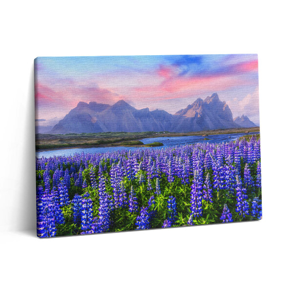 Pictură pe pânză 80x60 Câmpuri de lavandă - Islanda