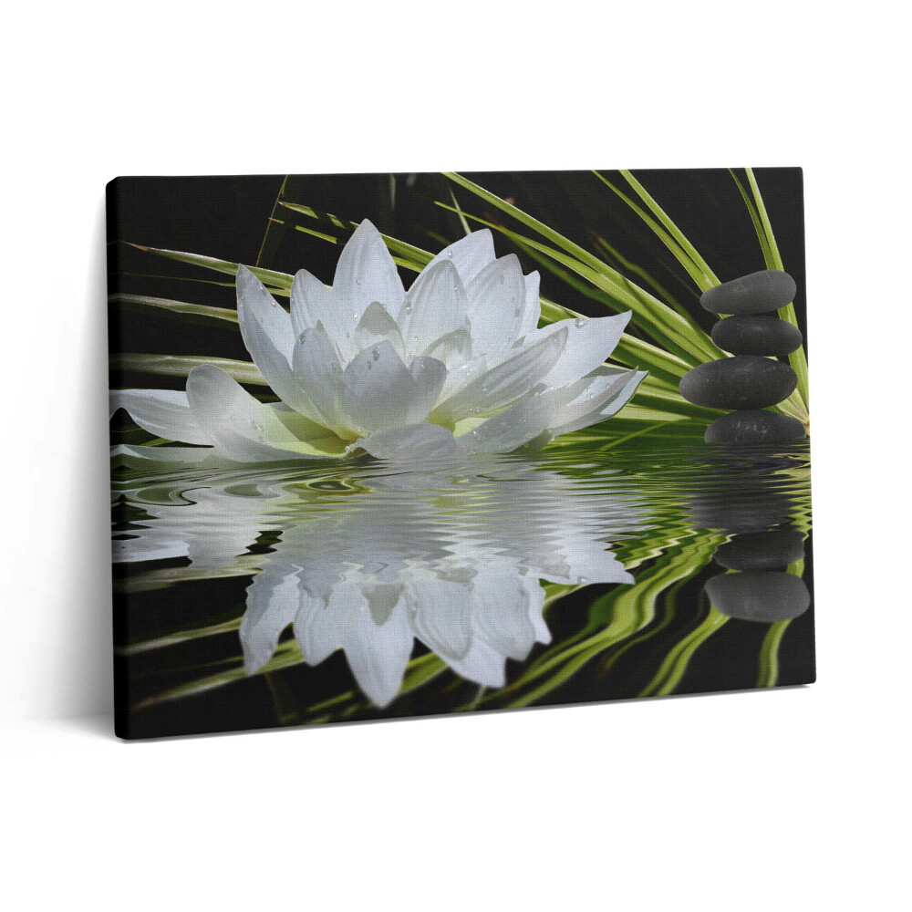 Pictură pe pânză 80x60 Nufăr și frunze