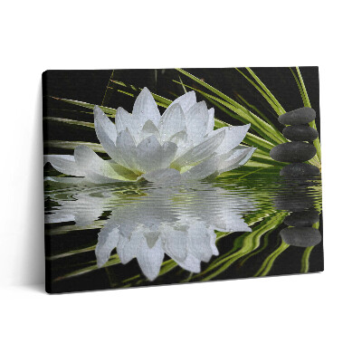 Pictură pe pânză 80x60 Nufăr și frunze