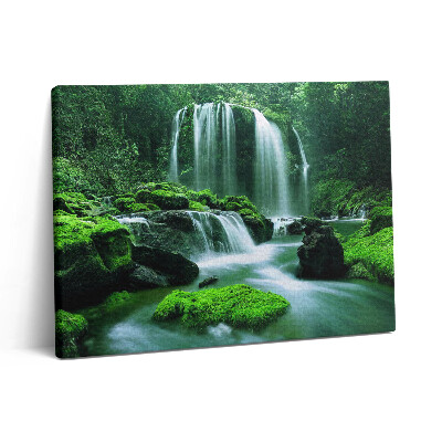 Pictură pe pânză 80x60 Cascadă printre mușchi