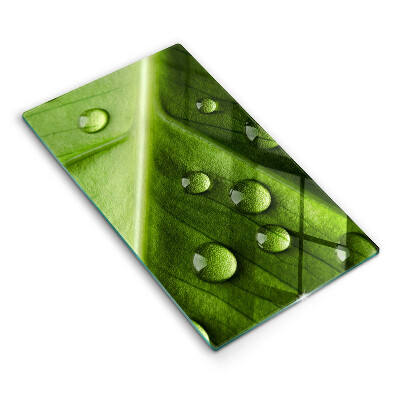 Placă din sticla protectie perete bucatarie Rouă și frunze de natură