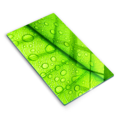 Placă din sticla protectie perete bucatarie Prim-plan al unei frunze