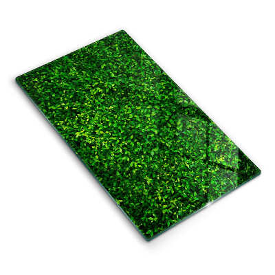 Placă din sticla protectie perete bucatarie Plantează frunze mici