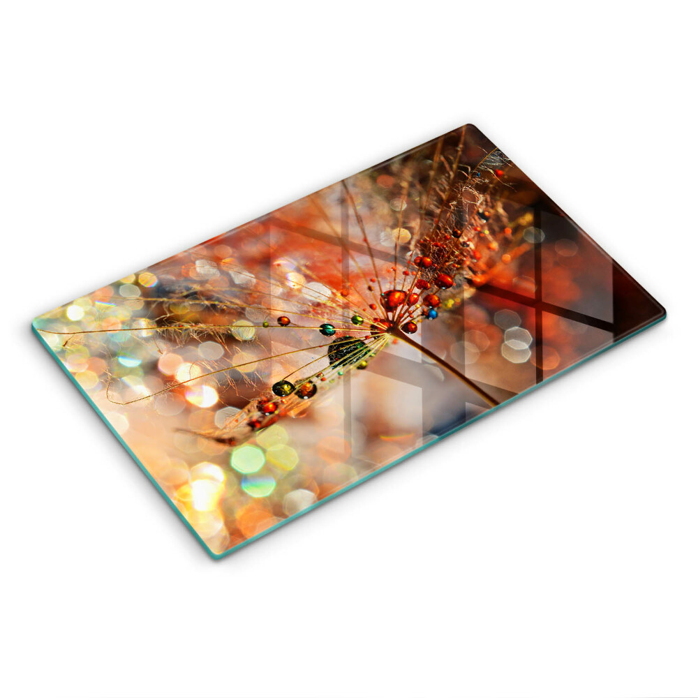 Placă de protecție pentru plita Păpădie umedă