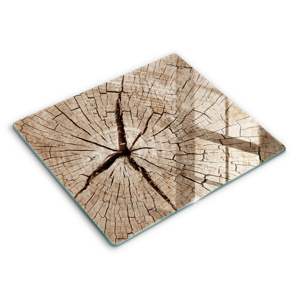 Decorativ placă sticla protectie aragaz Secțiune transversală a unui copac 60x52 cm 