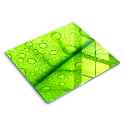 Decorativ placă sticla protectie aragaz Prim-plan al unei frunze 60x52 cm 