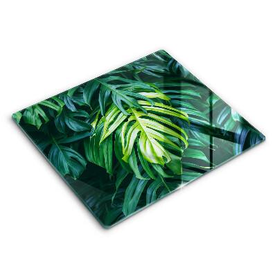 Decorativ placă sticla protectie aragaz Frunze de Monstera sălbatică 60x52 cm