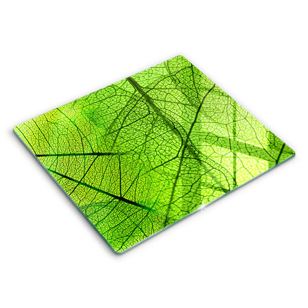Decorativ placă sticla protectie aragaz Natura venelor frunzelor 60x52 cm